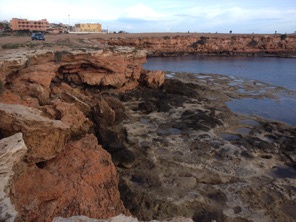 Coast in Torrevieja