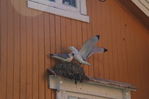 IMG_3744.JPG